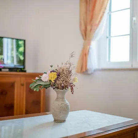 Apartment Astoria Rab Town